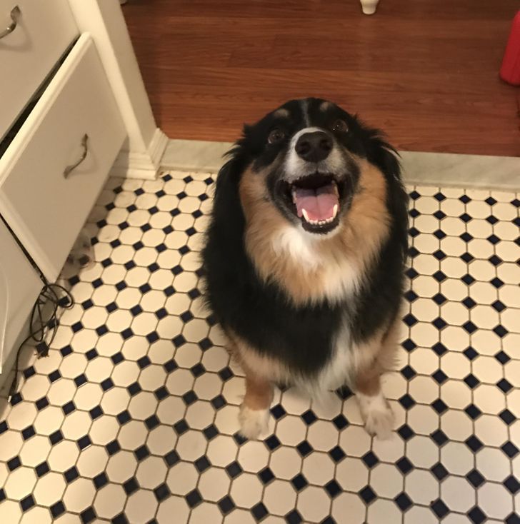 1e8cad541b997cac6b46c06c13