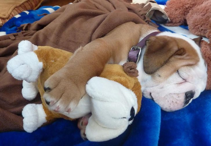 1e903d5a528194fd74077d011b