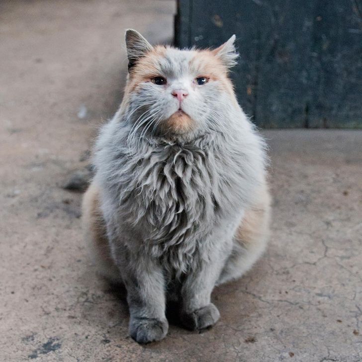 1e95985b8fadd67c1db58a1290