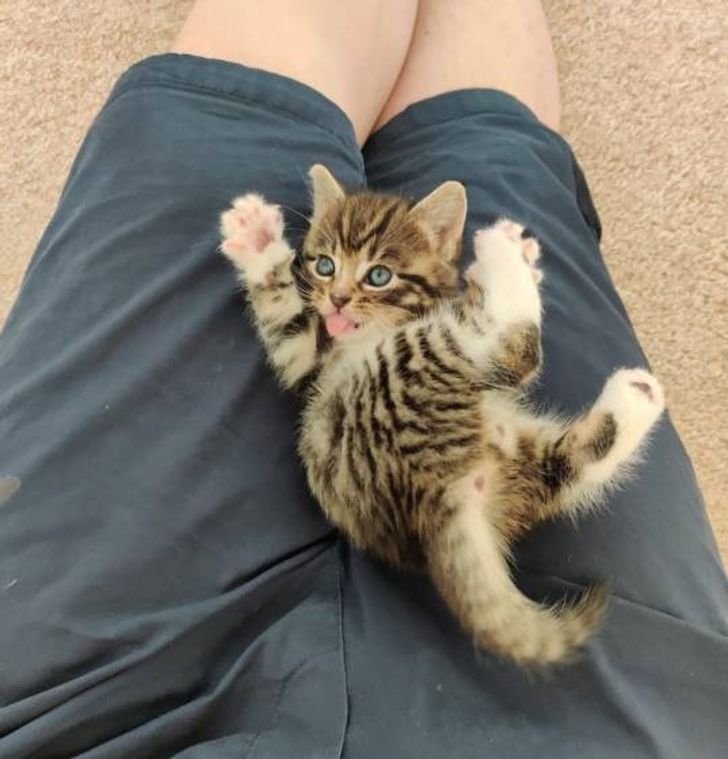 1e968559dfb98647cf350a6001