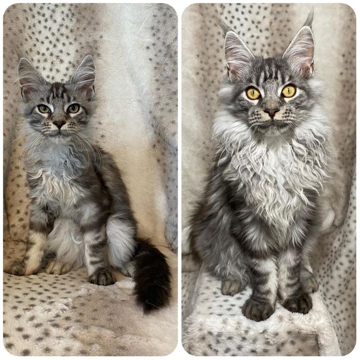 1e97a8515294a2da8ead690cd5