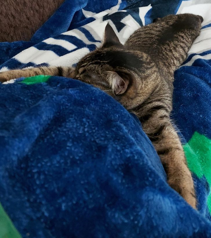 1e98275fc28420f8bc7f1da8f4