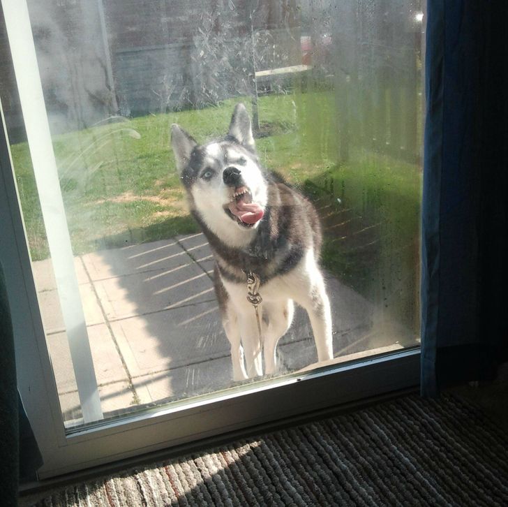 1e9ff4520a9c618824d87595d5