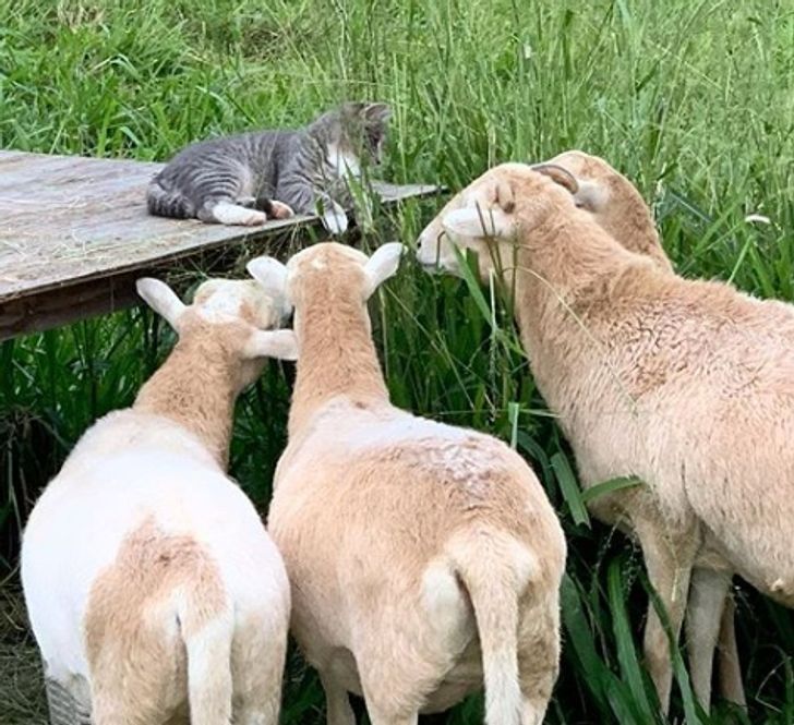 1ea0e5551393b2c9e785e23bec