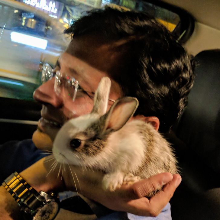 1ea79e5bf38e13fc031c42c719