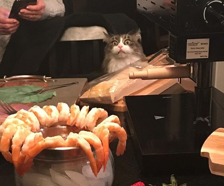 1eac2c5eba8d41bfb63ee713f3