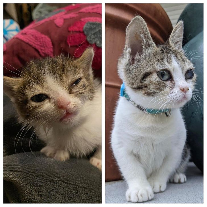 1eaecc5a0a9d50087d1ff8ce71