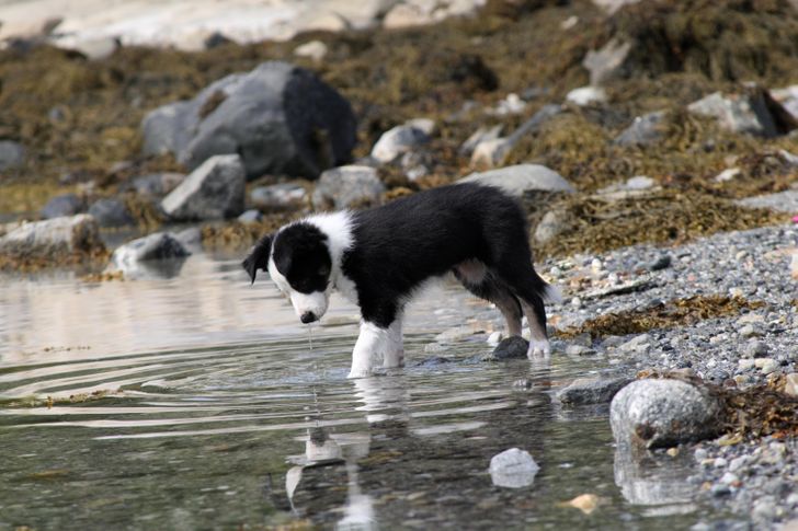 1eb0bd50b780b131c300d6e4ee