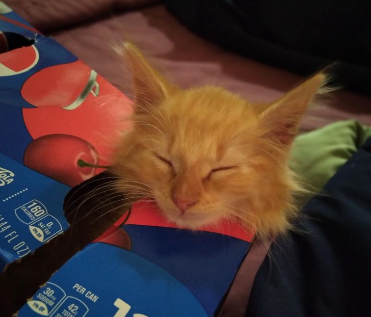 1eb6fd52459de80bc0a7c1dcf2