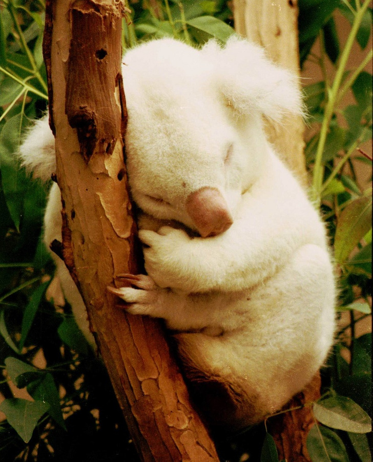 1eb8345b0f925799085ee57753