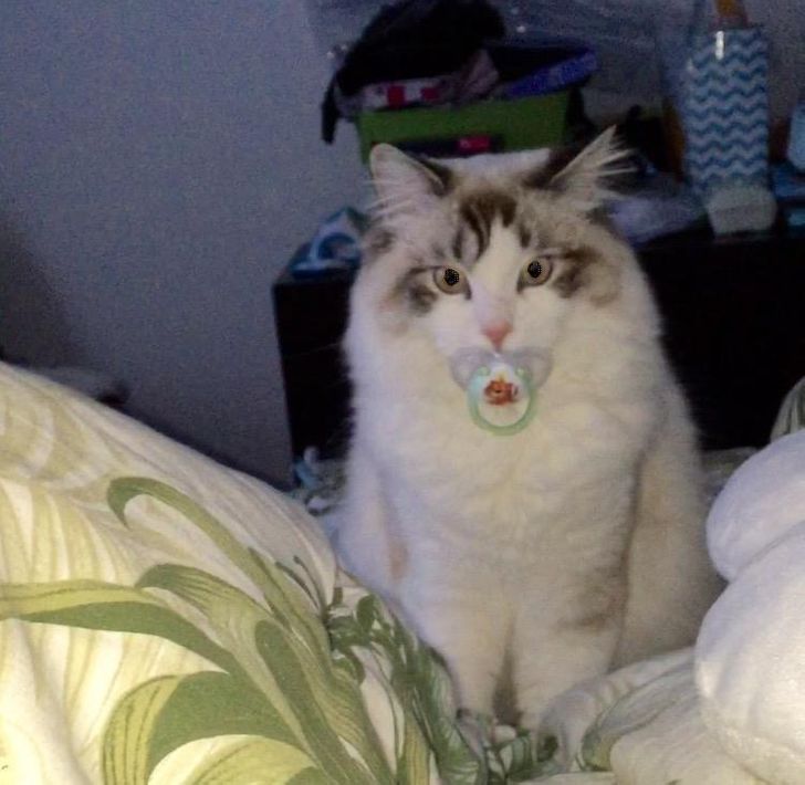 1eb9d656239e684af11ff45577