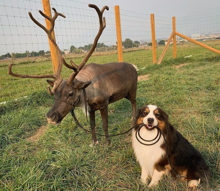 1ebabe5a9ab0d3808858064e18