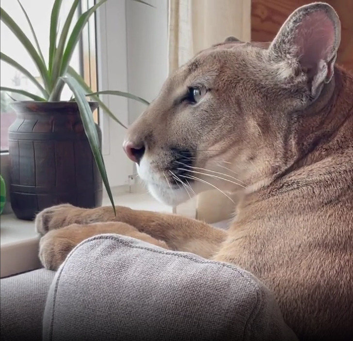 1ec515591795cfbdee8f2afe5d