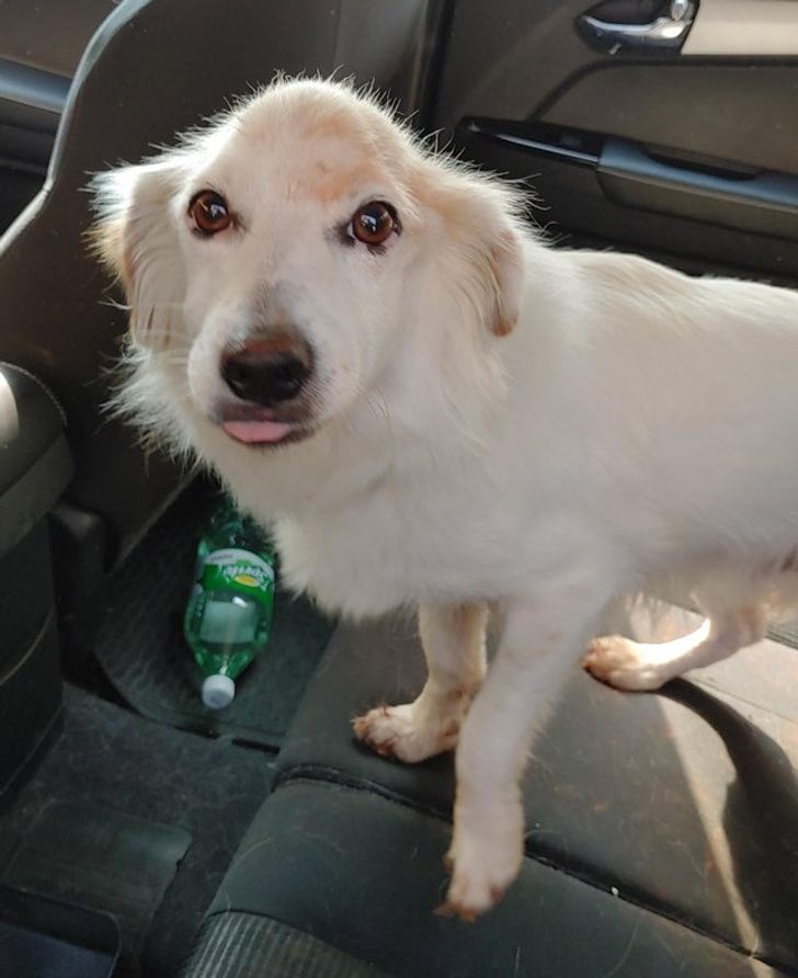 1ed21854389d902de5d329527f