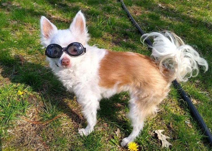 1ed28755448bb21e5a33b2d836