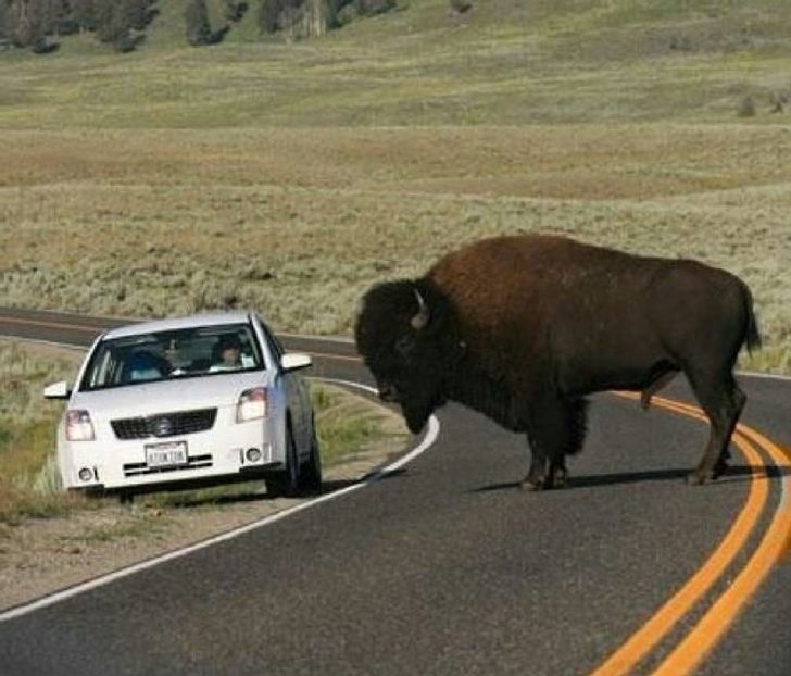 1ed85155e4b7237c27f749d1f5