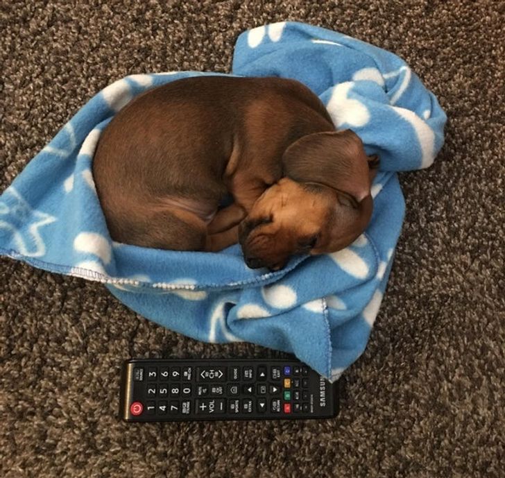 1edd065c4b9da0658c3ad002c6