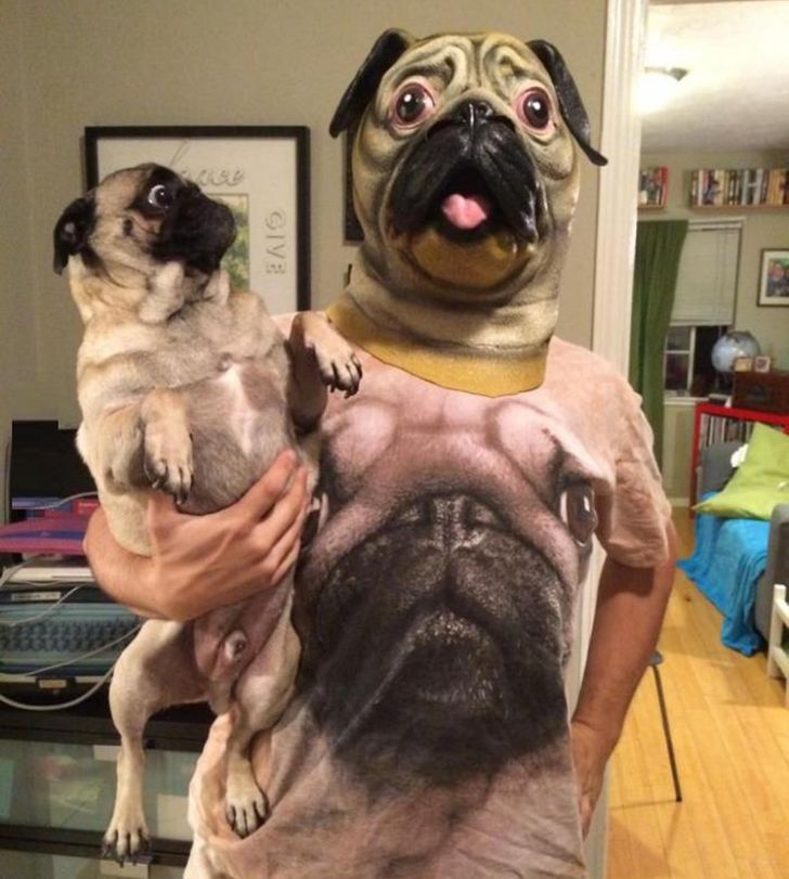 1eddfb5c97b4c8c9b8500961ac