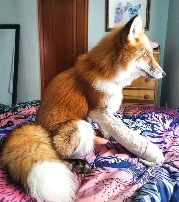 1ede14526683e0e88877f178b5