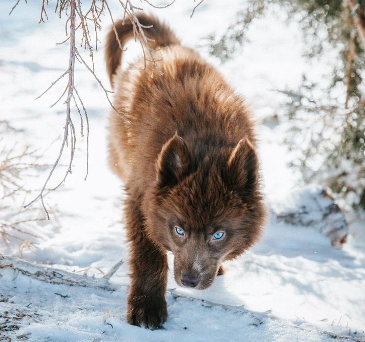 1ee448504eaed8ef00cb622483