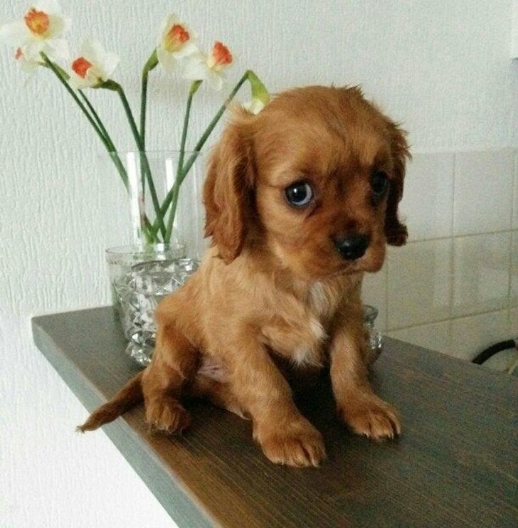 1ee6c05c209a25f7878bf0c3ec