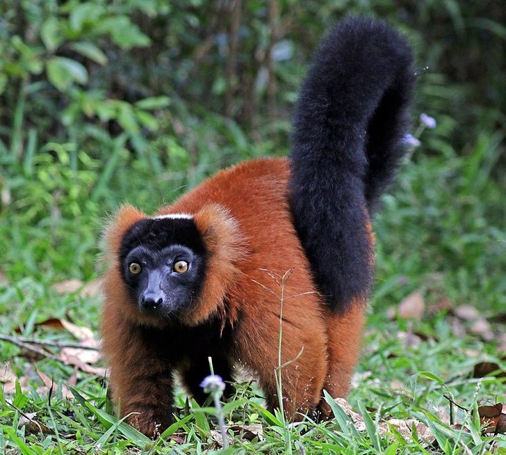 1ee89050e1a1401674fb28c257