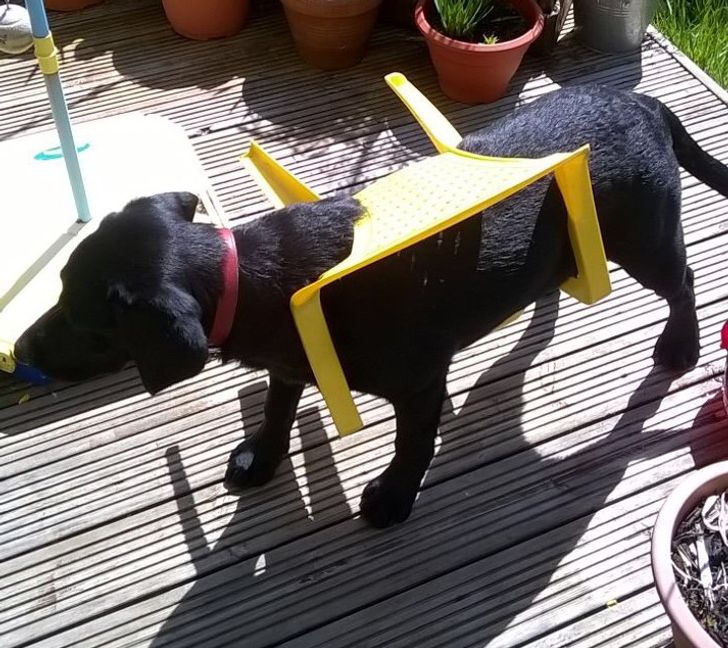 1eeb4056a28ec4f95c5fdb8b40