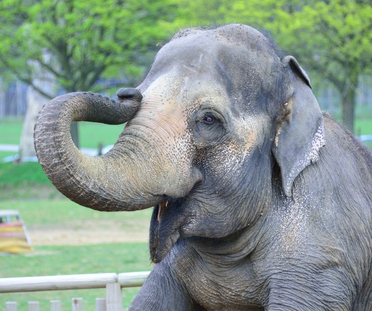 1eee6a5fe4b9915d81895d8d87