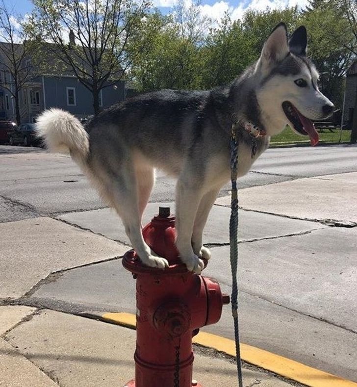 1efa4b5717b188d923664d806f