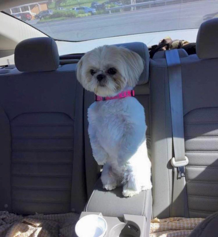 1efba651e2b79c3ae73ad121e9 1efba651e2b79c3ae73ad121e9