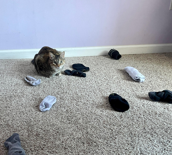 1efcf25514a00c95cbb8b23b2e 1efcf25514a00c95cbb8b23b2e