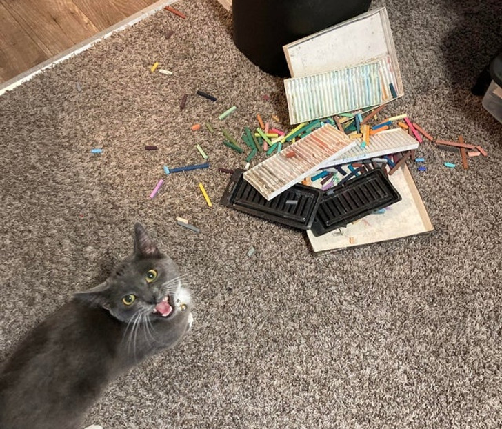 1efef05594bb79842f9ca24a2c 1efef05594bb79842f9ca24a2c