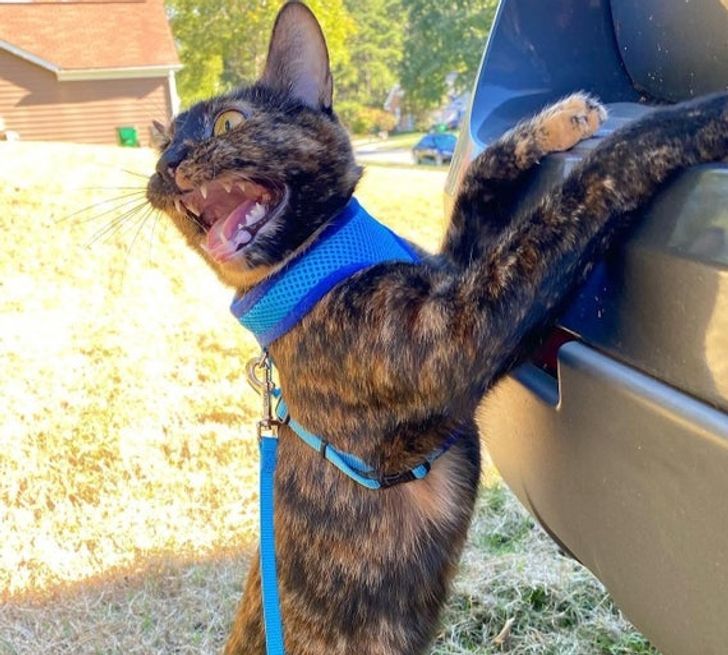 1eff01524d9dcfc22165aadebe