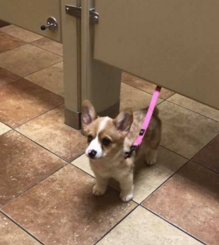 1eff7859efbd2262a88c3bb3d0