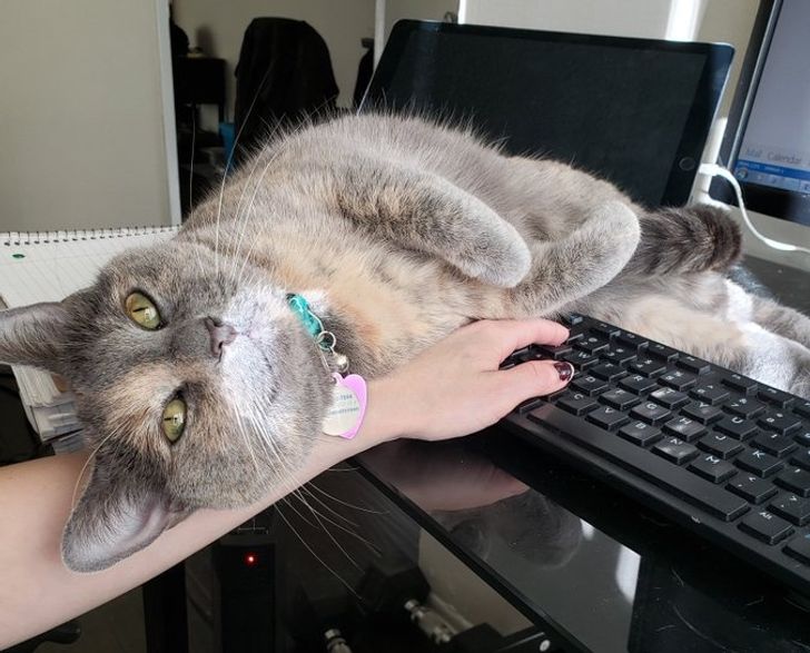 1f050b5908a90f1deb320ca5d0