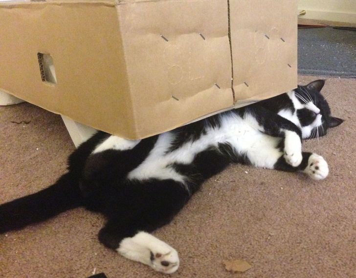 1f0e9e5e288d401990767ced03