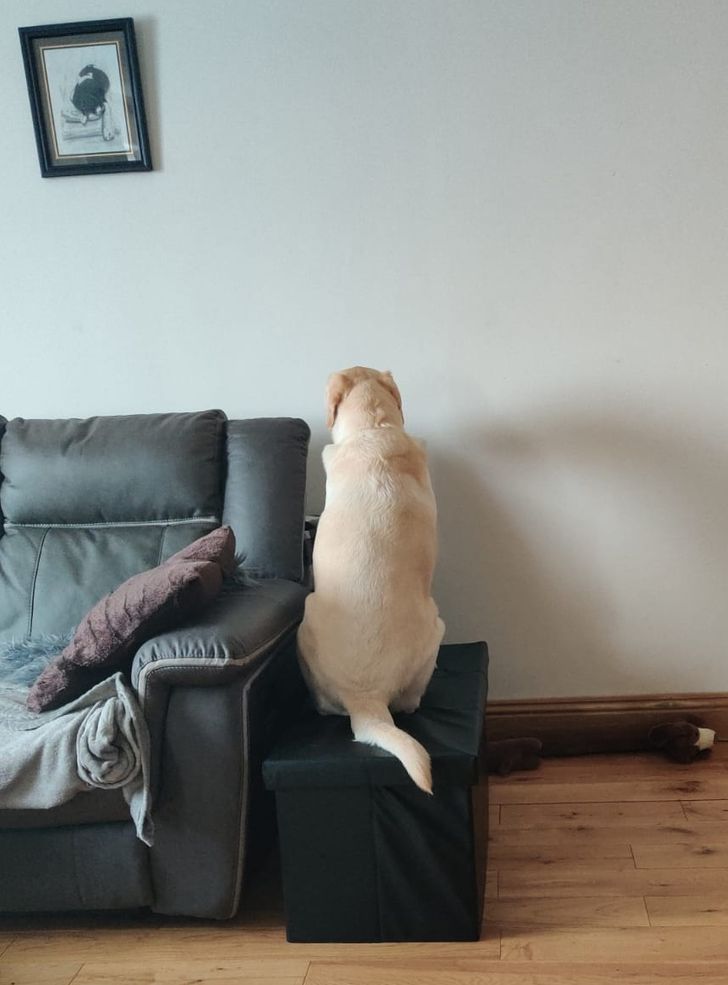 1f1c995bc897f37a04f527fc19