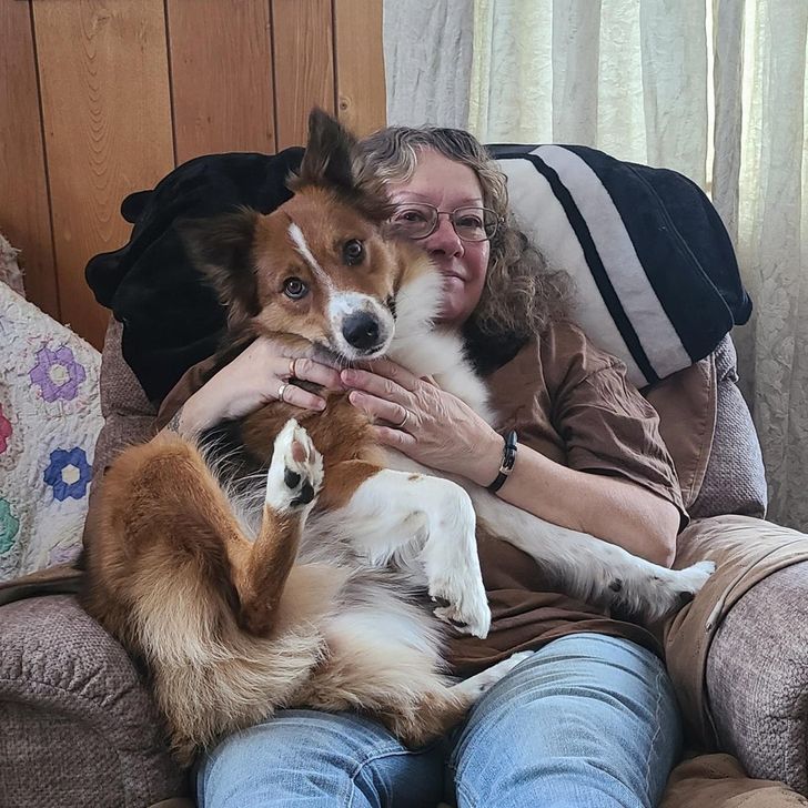 1f1fa95f528200530facade04a