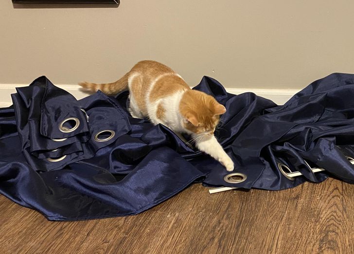 1f255a55e4ade0c7c1a241ea37