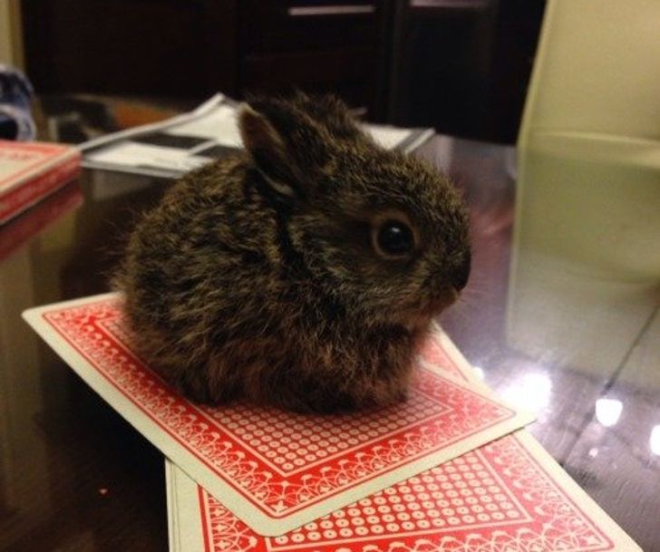 1f298957e59c279f3a6c1f9cf9