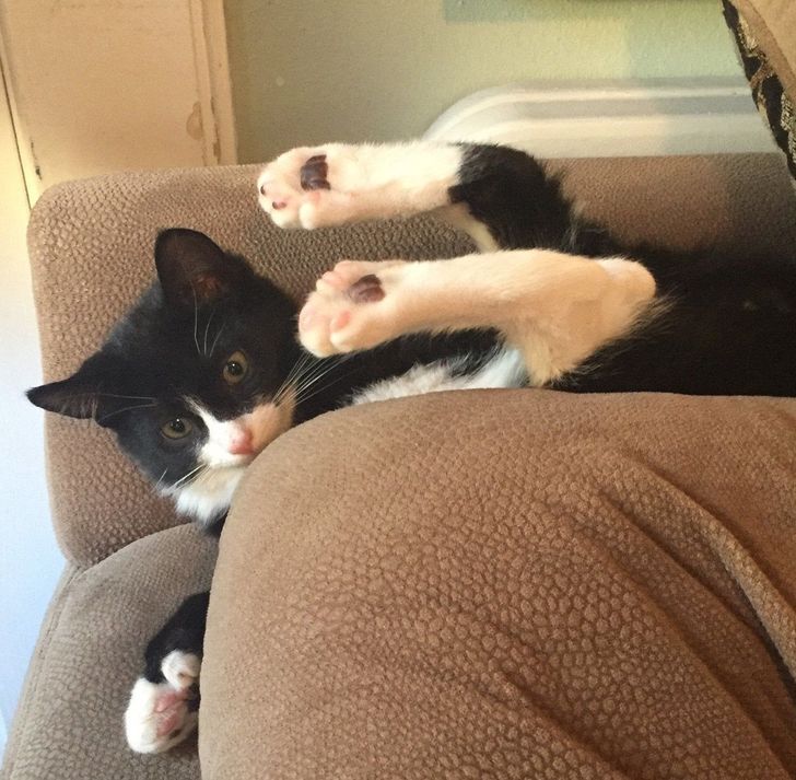 1f2a2358b4a89a3b1cc42d0817