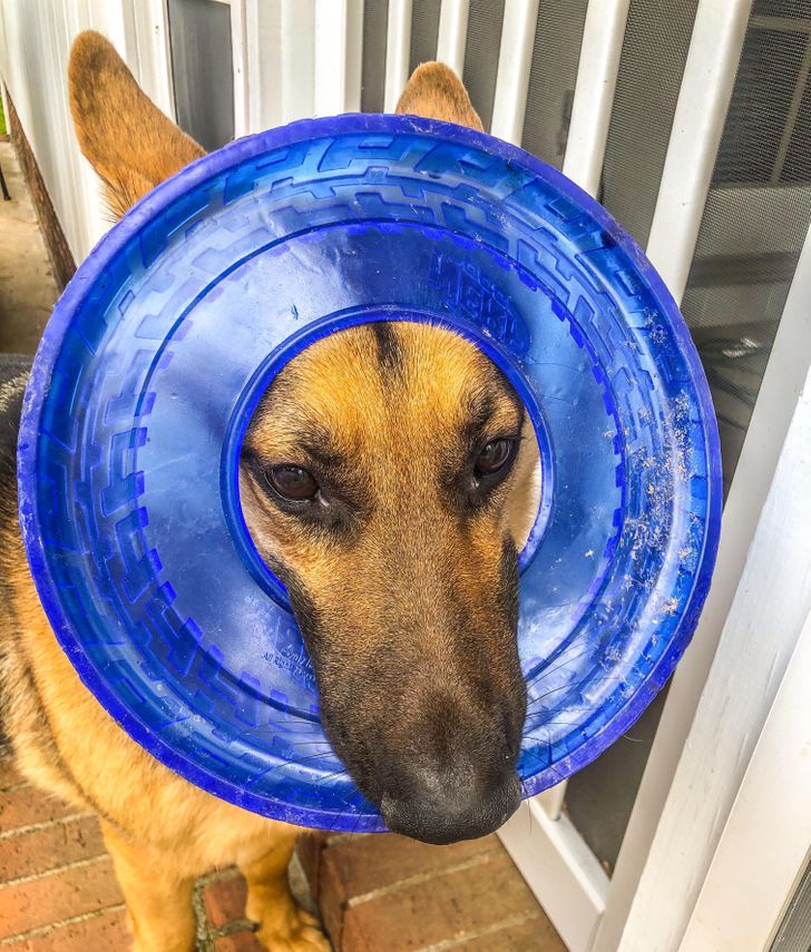 1f2de35540b0aa9709ee03c2fa