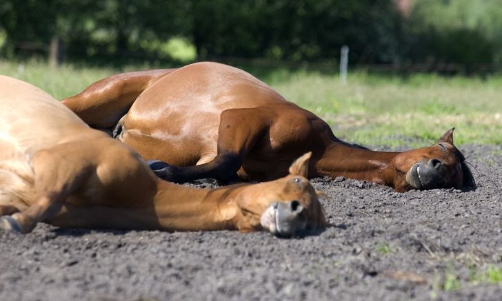 1f352558da8340a13d3b250841