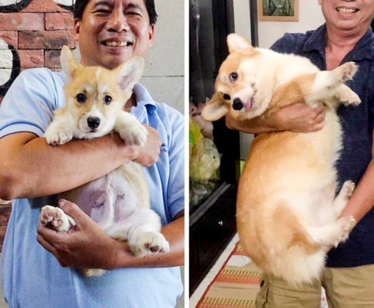 1f400557b78bd9be4b2b4c0477