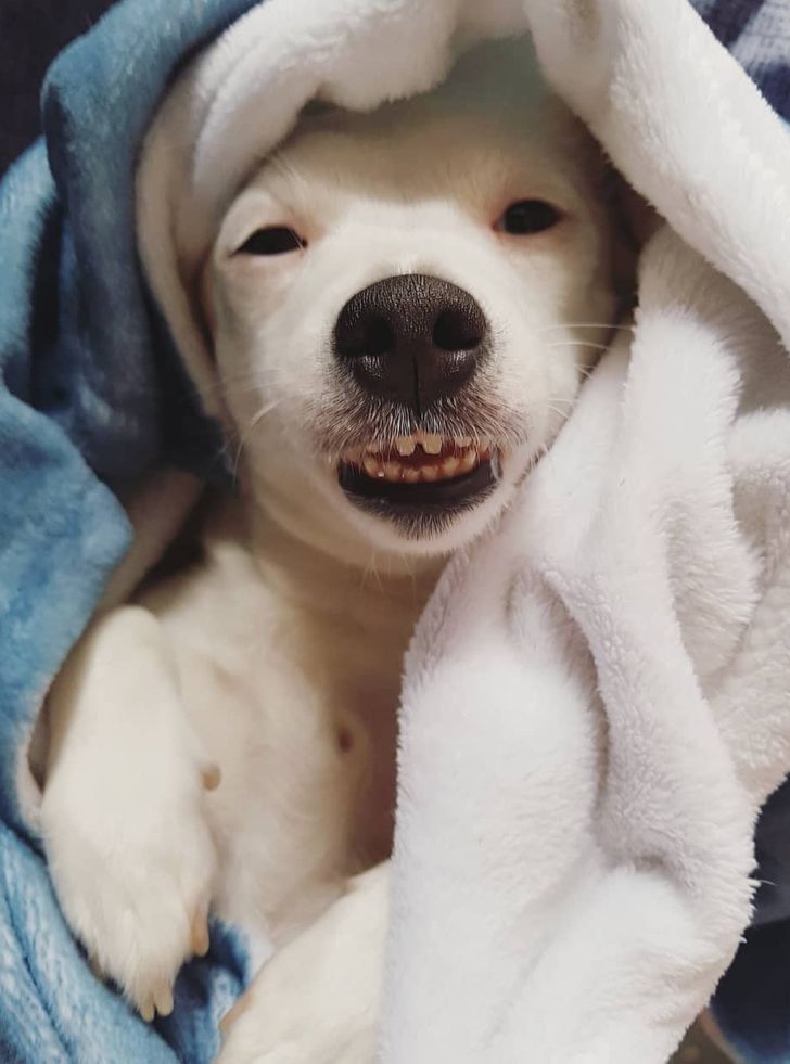 1f40135d848576fa98b6ee413a