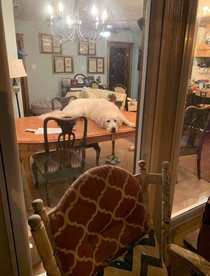 1f41235d6dbdb78f7a338209ed