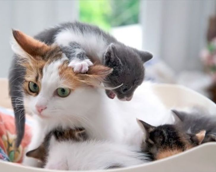 1f49745f76aac4372e52b2c895