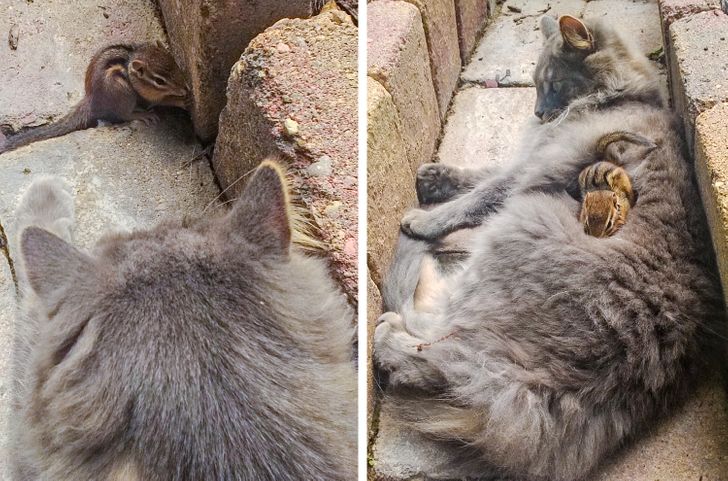 1f4b8c5c58a9019960cafcdbfc