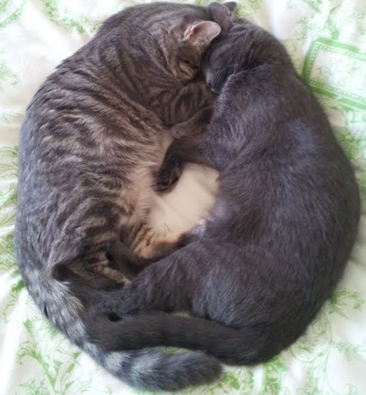 1f577f550bbf388ea8f06093b5