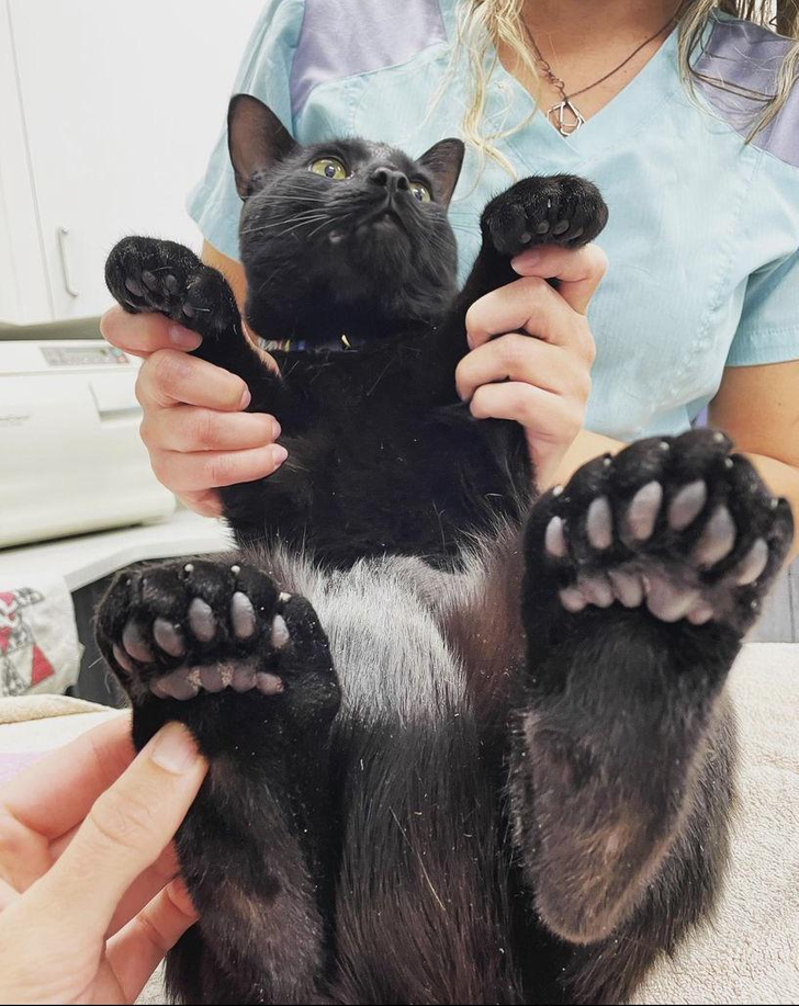 1f590357d0aed1f05764e877eb